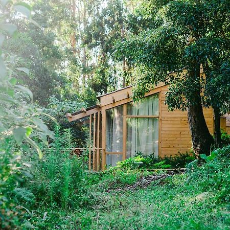 Cabanas Da Viscondessa Urzelina Ngoại thất bức ảnh